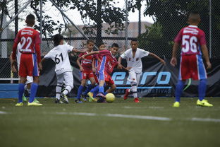 九游娱乐官网 (JIUYOU)-教练组将赴欧学习，引入现代理念，教练技术领袖风采